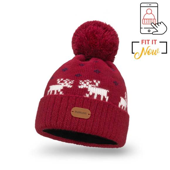 Warm winter hat, christmas pattern